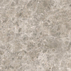 Ceralto Briano Accent Vloertegel - 100x100cm - 6.0mm - gerectificeerd - Grey SW1407350