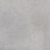 SAMPLE Sintesi Concept Stone Carrelage de sol et de mur 60x60cm 8.8mm rectifié R9 grès cérame Silver SW976454