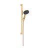 Hansgrohe Raindance alive Sel.S - 125 - 3jet - ecosmart - doucheset - 65cm - gepolijst goud (goud) SW1388466