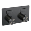 BRAUER gunmetal Edition Inbouwthermostaat - 2 functies - inclusief inbouwdeel - drukknoppen - geborsteld gunmetal PVD SW925707