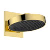 Hansgrohe Rainfinity Douchekop SW1382761