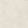 ÉCHANTILLON Ceralto Fornoce carreau VL 120X120cm Bone 9mm Mat Ret.R10 SW1449450