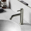 Hotbath Archie Fonteinkraan - opbouw - uitloop - 12cm - mat RVS SW230319