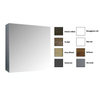 Sanicare qlassics armoire de toilette 60x60x15cm avec 1 porte miroir double face alulook SW17900 Sanicare qlassics armoire de toilette 60x60x15cm avec 1 porte miroir double face alulook SW17900