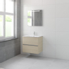 Bruynzeel Miko badmeubelset 66x71x51cm 1 kraangat 1 wasbak 2 lades met spiegel met softclose natuur eiken SW384476 Bruynzeel Miko badmeubelset 66x71x51cm 1 kraangat 1 wasbak 2 lades met spiegel met softclose natuur eiken SW384476