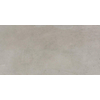 Ceralto Minuta Core Vloertegel - 30x60cm - 8.0mm - gerectificeerd - Grey SW368800
