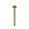 Hotbath Ace Plafondbuis - 30cm - rond - PVD - geborsteld messing (goud) SW1117727