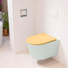 Mondiaz LAVIE hangtoilet – spoelrandloos – 36 x 53 cm – met softclose zitting – Greey (lichtgroen/grijs), zitting Ocher (geel) SW1208664