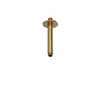 Hotbath Ace Plafondbuis - 15cm - rond - PVD - geborsteld messing (goud) SW1117737