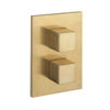 Crosswater WaterSquare Boîte d'encastrement - thermostatique - 2 fonctions - laiton brossé SW648365