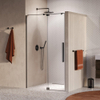 BRAUER Stellar porte de douche - 120x200cm - pour niche - porte pivotante - PVD - gunmetal brossé (anthracite) SW1418065