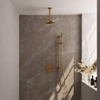 BRAUER Gold Edition thermostatische Inbouw Regendouche - 3-weg - rond - set 89 - 20cm hoofddouche - plafondarm - staaf handdouche - doucheslang - geïntegreerde glijstang - goud geborsteld PVD SW1159085