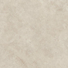 ÉCHANTILLON Ceralto Sylvaro Grain Carreau de sol - 60x60cm - 9.0mm - rectifié - Dust SW1557743