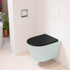 Mondiaz LAVIE hangtoilet – spoelrandloos – 36 x 53 cm – met softclose zitting – Greey (lichtgroen/grijs), zitting Urban (zwart) SW1208742