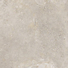 ÉCHANTILLON Ceralto Cavino Mini Carrelage sol et mur 60x60cm 10mm rectifié R10 grès cérame Greige SW911809