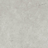 Beste koop Harmony carreau de sol et de mur 100x100cm 8.5mm résistant au gel rectifié gris mat SW543600