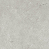ÉCHANTILLON Ceralto Cemento Alto Concrete Carrelage sol et mur 100x100cm 8.5mm rectifié R10 grès cérame Grey SW911914