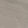Beste Koop 595x595 Boston Taupe Mat 8Mm Ret.R9 Taupe SW1509774