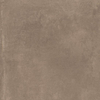 SAMPLE Ceralto Giralto Studio Vloertegel - 60X60 - 10mm - mat - taupe SW1591701