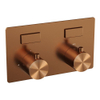 BRAUER Copper Edition - 2 functies - inbouwthermostaat - met inbouwdeel - drukknoppen - in/afbouwdelen - koper geborsteld PVD SW925586 BRAUER Copper Edition - 2 functies - inbouwthermostaat - met inbouwdeel - drukknoppen - in/afbouwdelen - koper geborsteld PVD SW925586