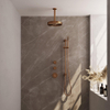 BRAUER Stripe Thermostatische Inbouw Regendouche - SET 09 - 25cm douchekop - plafondarm - staaf handdouche - doucheslang - geïntegreerde glijstang - koper geborsteld PVD SW1434921