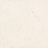 Ceralto Elaris Oak Carrelage de sol - 120x120cm - 9.0mm - rectifié - Sabbia avorio SW1242814