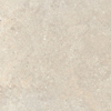 ÉCHANTILLON Terravito Larino Ivory mat 80x80 rett SW1221596
