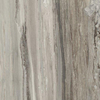 Ceralto Alabro Vein Carrelage de sol - 60x60cm - 10.0mm - rectifié - Tropical SW717702