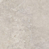 ÉCHANTILLON Ceralto Palazzo Vein Carreau de sol - 100x100cm - 8.5mm - rectifié - Evercream SW1557849