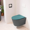 Mondiaz LAVIE hangtoilet – spoelrandloos – 36 x 53 cm – met softclose zitting – Dark grey (grijs), zitting Smag (groen) SW1208712