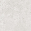 Ceralto Merano Select Carrelage de sol - 59.2x59.2cm - 10.0mm - rectifié - gris clair SW1242740