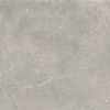 SAMPLE Terravito Unicoa wand- en vloertegel - 120x120cm - 9mm - gerectificeerd - Grijs SW1221668