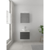Bruynzeel Combo badmeubelset 60x45cm 1 wasbak 2 lades met spiegelkast met softclose ceramic grafiet SW383515 Bruynzeel Combo badmeubelset 60x45cm 1 wasbak 2 lades met spiegelkast met softclose ceramic grafiet SW383515
