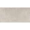 SAMPLE Ceramic-Apolo ALPE Wandtegel - 30x60cm - 8.5mm - Grey SW911795