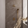 Brauer Gold Carving Ensemble de douche pluie encastré - douche principale 20cm - bouton carving - douchette ronde 3 positions - glissière - PVD - or brossé SW715692