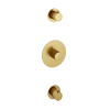 Hotbath Cobber Afbouwdeel inbouwthermostaat - met 2 stopkranen geborsteld messing - PVD - (goud) SW229866