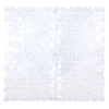 Differnz Lapis Tapis de Douche 54x54cm Transparent SW471221