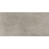 Ceramic-Apolo Midtown Vloertegel - 60x120cm - 10.0mm - gerectificeerd - Grey SW1245185