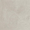 Ceralto Tivoli Accent Vloertegel - 59.7x59.7cm - 9.0mm - gerectificeerd - L.grey SW1175047
