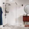 Sealskin Pure Paroi de douche à l'italienne - 120x200cm - verre clair - 8mm - traitement anticalcaire - noir mat SW1079891