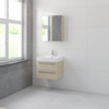 Bruynzeel Bando badmeubelset 60x45cm 1 kraangat 1 wasbak 2 lades met spiegelkast met softclose Composiet natuur eiken SW383516 Bruynzeel Bando badmeubelset 60x45cm 1 kraangat 1 wasbak 2 lades met spiegelkast met softclose Composiet natuur eiken SW383516