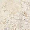 Ceralto Elaris Oak Vloertegel - 60x60cm - 9.0mm - gerectificeerd - Sassi beige p SW1242832