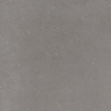 Ceralto Ivarno Core Vloertegel - 60X60 - 10mm - mat - grijs SW1579092