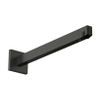 Hansgrohe Raindance alive Douchearm - 39cm - geborsteld zwart chroom (antraciet) SW1319883