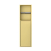 Best Design closetrolhouder 12x17x60cm inbouw met deur goud mat SW767409