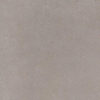 Ceralto Ivarno Core Vloertegel - 60X60 - 10mm - mat - zilver SW1578842