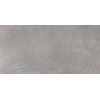 Ceralto Serico Polished Vloer- en wandtegel 60x120cm 11mm gerectificeerd R10 porcellanato Grigio SW767593