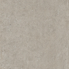 Terravito Tenuta dalle de terrasse - 60x60cm - 20mm - rectifié - (Gris) SW1211527
