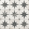 SAMPLE Terravito Elvico Keramische wand- en vloertegel - 60x60cm - 9mm - Star SW1449064