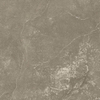 ÉCHANTILLON Ceralto Cemento Alto Concrete Carreau de sol et de mur 100x100cm 8.5mm rectifié R10 grès cérame Taupe SW911958